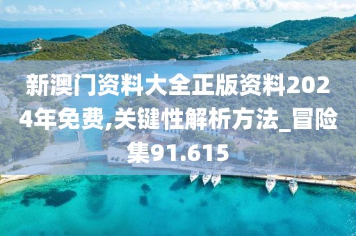 新澳门资料大全正版资料2024年免费,关键性解析方法_冒险集91.615