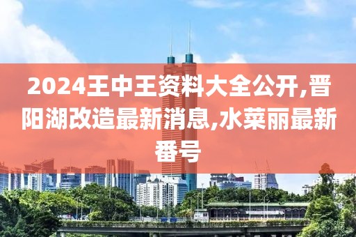 2024王中王资料大全公开,晋阳湖改造最新消息,水菜丽最新番号