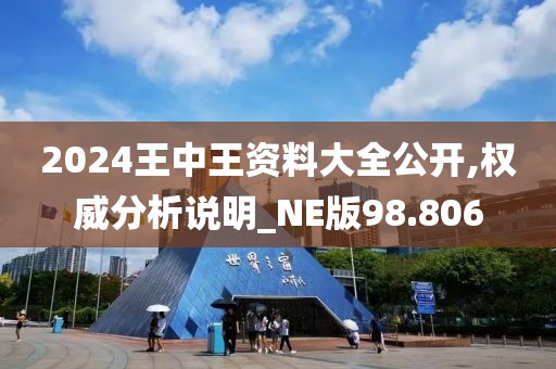2024王中王资料大全公开,权威分析说明_NE版98.806