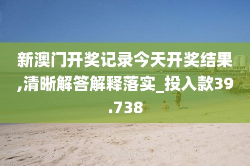 新澳门开奖记录今天开奖结果,清晰解答解释落实_投入款39.738