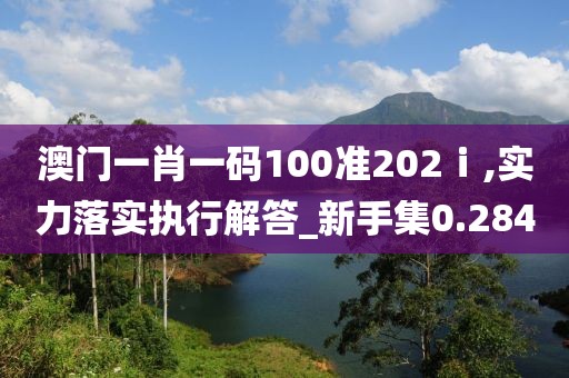 澳门一肖一码100准202ⅰ,实力落实执行解答_新手集0.284
