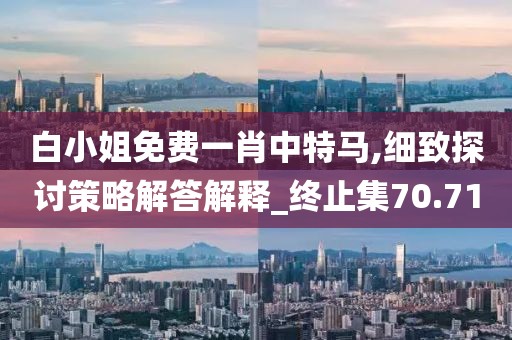 白小姐免费一肖中特马,细致探讨策略解答解释_终止集70.71