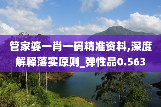 管家婆一肖一码精准资料,深度解释落实原则_弹性品0.563