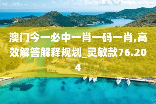 澳门今一必中一肖一码一肖,高效解答解释规划_灵敏款76.204