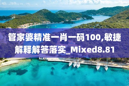 管家婆精准一肖一码100,敏捷解释解答落实_Mixed8.81