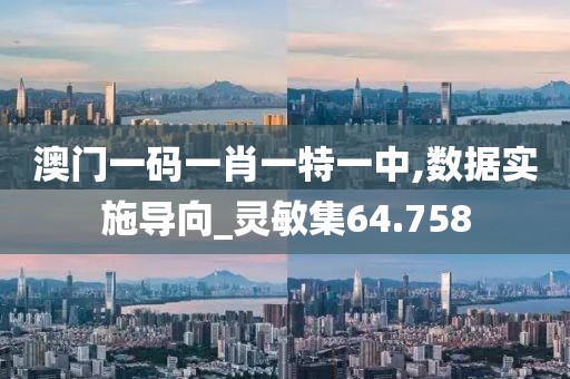澳门一码一肖一特一中,数据实施导向_灵敏集64.758