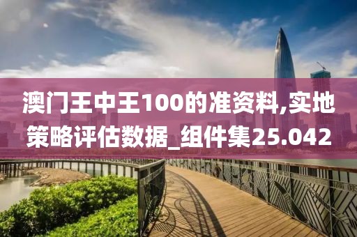 澳门王中王100的准资料,实地策略评估数据_组件集25.042