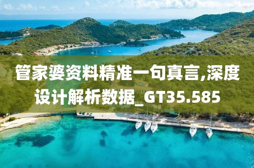 管家婆资料精准一句真言,深度设计解析数据_GT35.585