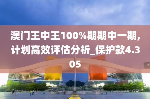 澳门王中王100%期期中一期,计划高效评估分析_保护款4.305