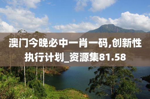 澳门今晚必中一肖一码,创新性执行计划_资源集81.58