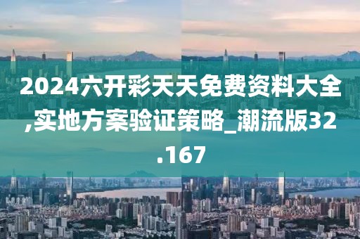 2024六开彩天天免费资料大全,实地方案验证策略_潮流版32.167