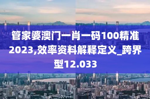 管家婆澳门一肖一码100精准2023,效率资料解释定义_跨界型12.033
