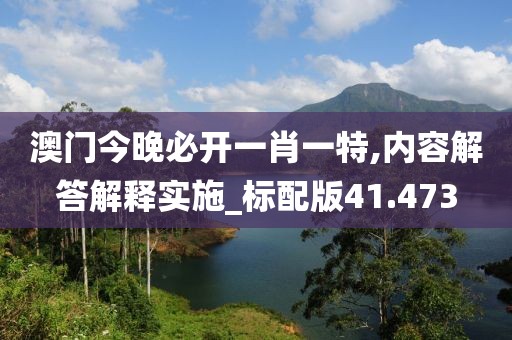 澳门今晚必开一肖一特,内容解答解释实施_标配版41.473