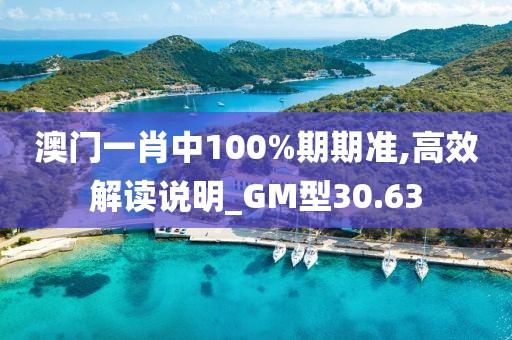 澳门一肖中100%期期准,高效解读说明_GM型30.63