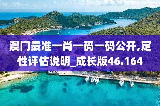 澳门最准一肖一码一码公开,定性评估说明_成长版46.164