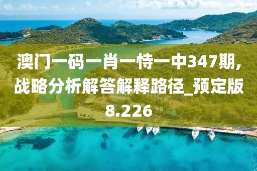 澳门一码一肖一恃一中347期,战略分析解答解释路径_预定版8.226