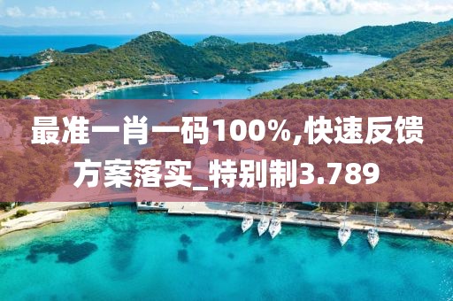 最准一肖一码100%,快速反馈方案落实_特别制3.789