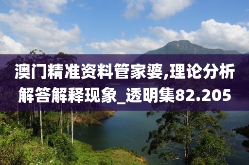 澳门精准资料管家婆,理论分析解答解释现象_透明集82.205