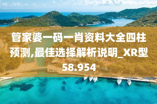 管家婆一码一肖资料大全四柱预测,最佳选择解析说明_XR型58.954