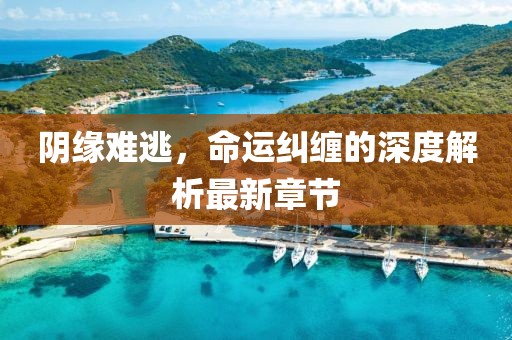 阴缘难逃，命运纠缠的深度解析最新章节