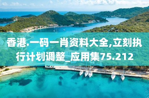 香港.一码一肖资料大全,立刻执行计划调整_应用集75.212