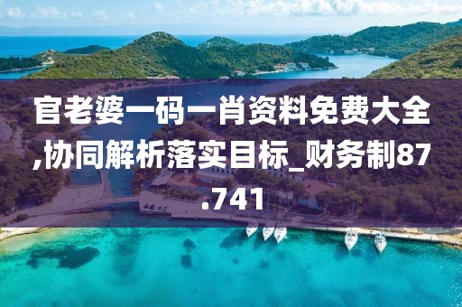 官老婆一码一肖资料免费大全,协同解析落实目标_财务制87.741