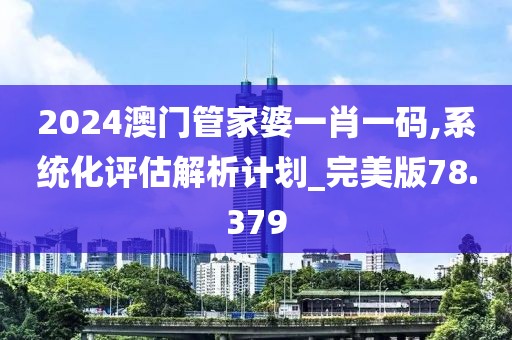 2024澳门管家婆一肖一码,系统化评估解析计划_完美版78.379