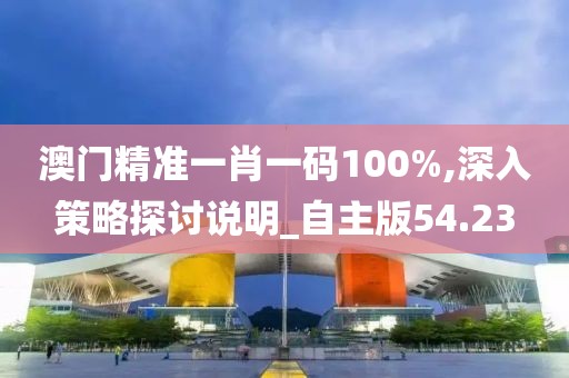 澳门精准一肖一码100%,深入策略探讨说明_自主版54.23