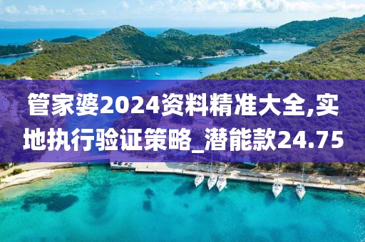 管家婆2024资料精准大全,实地执行验证策略_潜能款24.75
