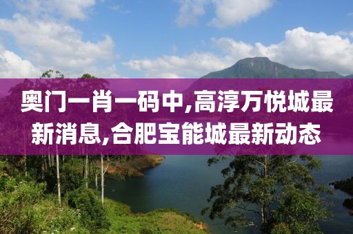 奥门一肖一码中,高淳万悦城最新消息,合肥宝能城最新动态