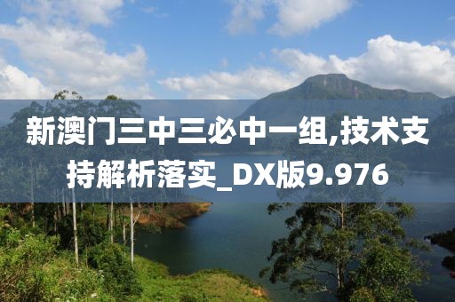 新澳门三中三必中一组,技术支持解析落实_DX版9.976