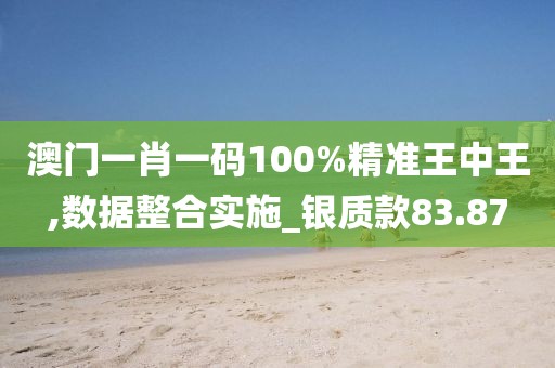 澳门一肖一码100%精准王中王,数据整合实施_银质款83.87