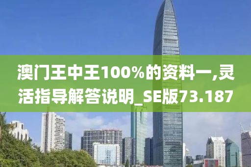 澳门王中王100%的资料一,灵活指导解答说明_SE版73.187