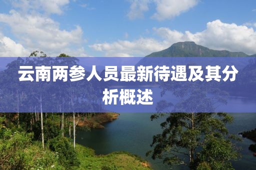 云南两参人员最新待遇及其分析概述
