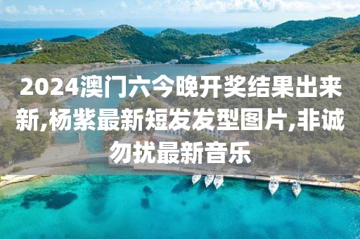 第6703页