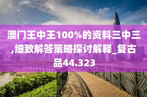 澳门王中王100%的资料三中三,细致解答策略探讨解释_复古品44.323