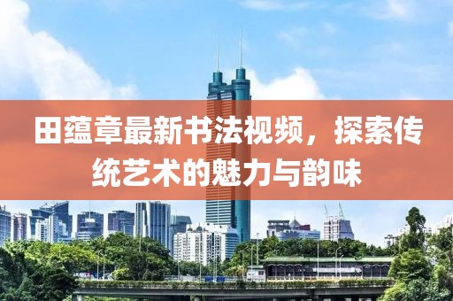 田蕴章最新书法视频，探索传统艺术的魅力与韵味