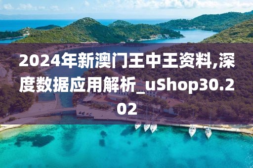 2024年新澳门王中王资料,深度数据应用解析_uShop30.202