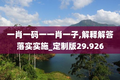 一肖一码一一肖一子,解释解答落实实施_定制版29.926