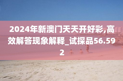 2024年新澳门天天开好彩,高效解答现象解释_试探品56.592