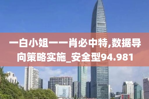 一白小姐一一肖必中特,数据导向策略实施_安全型94.981