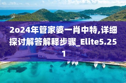 2o24年管家婆一肖中特,详细探讨解答解释步骤_Elite5.251