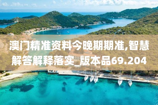 澳门精准资料今晚期期准,智慧解答解释落实_版本品69.204