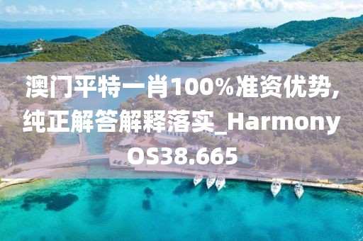 澳门平特一肖100%准资优势,纯正解答解释落实_HarmonyOS38.665