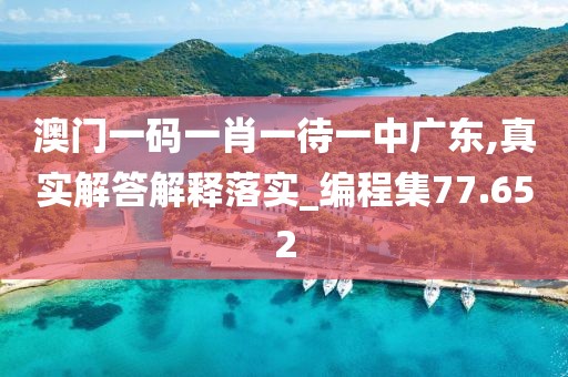 澳门一码一肖一待一中广东,真实解答解释落实_编程集77.652