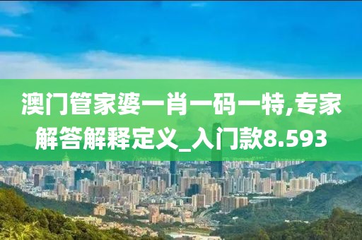 澳门管家婆一肖一码一特,专家解答解释定义_入门款8.593