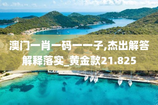 澳门一肖一码一一子,杰出解答解释落实_黄金款21.825