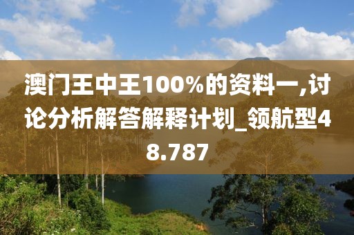 澳门王中王100%的资料一,讨论分析解答解释计划_领航型48.787