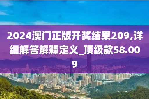 2024澳门正版开奖结果209,详细解答解释定义_顶级款58.009
