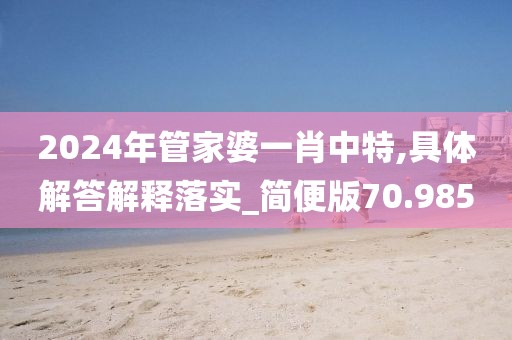 2024年管家婆一肖中特,具体解答解释落实_简便版70.985